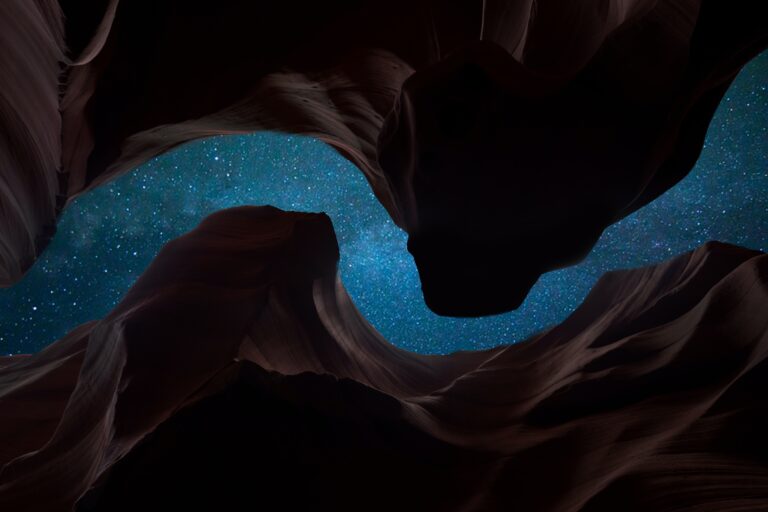 Nature’s Masterpieces Unveiled
